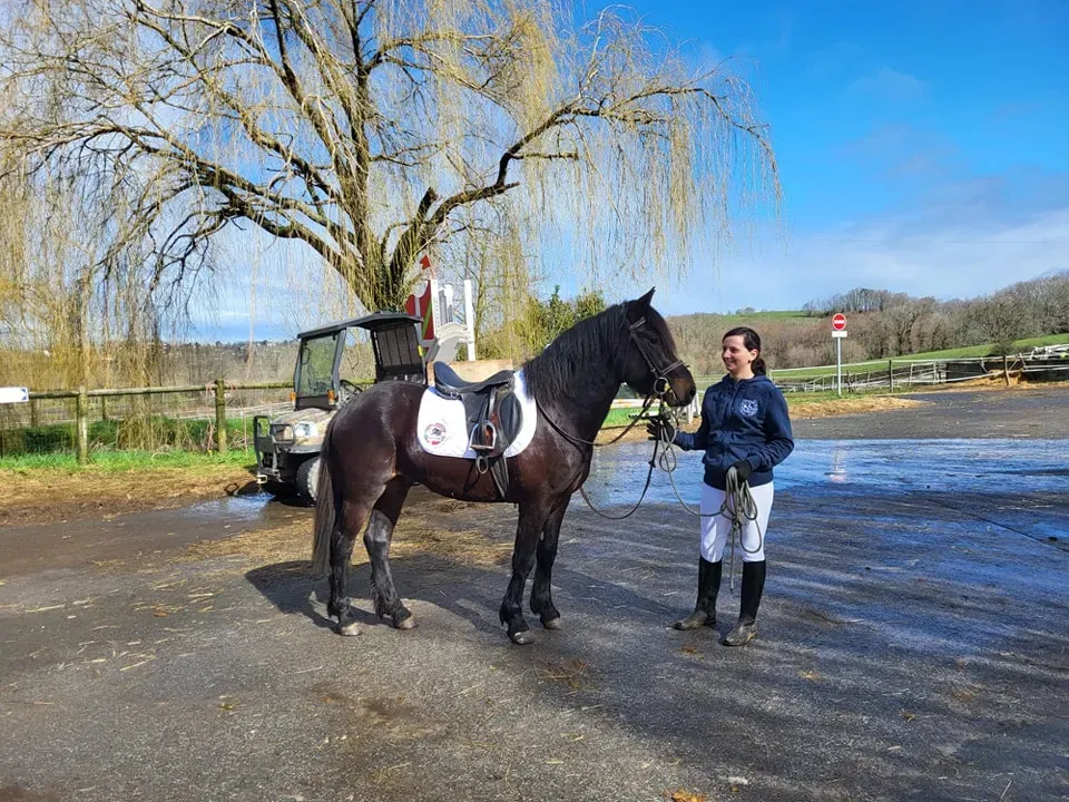 chevaux (16)